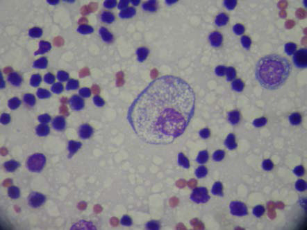 MS308: Making the Most of Your Microscopy Mini Series - Image 2