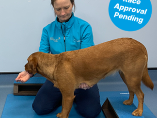 ADN122 - Advance15  Physiotherapy for Nurses