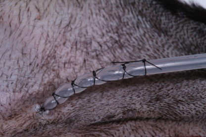 Surgical Skills for Nurses - Image 2