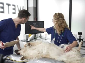 Practical Abdominal Ultrasound Level 2 (Intermediate)