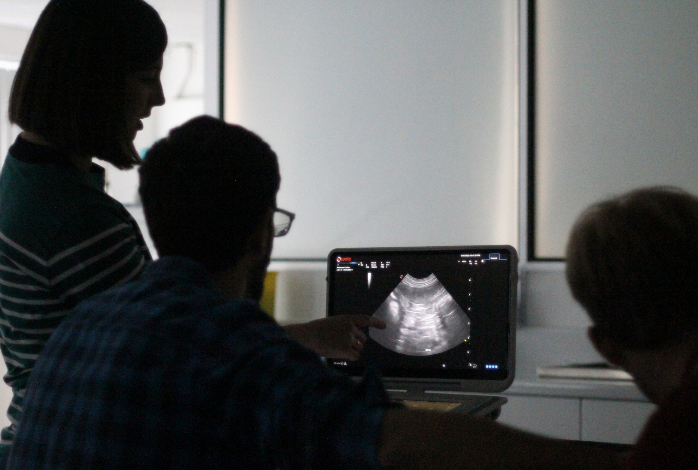 New Graduate Abdominal Ultrasound Scanning - Image 2