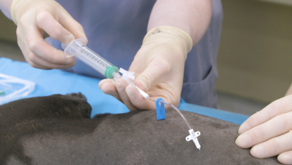 Practical Emergency Medicine - Image 4