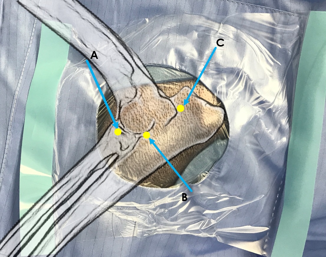 Introduction to Arthroscopy - Image 2