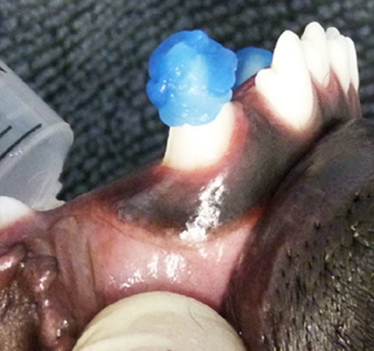 Restorative Dentistry