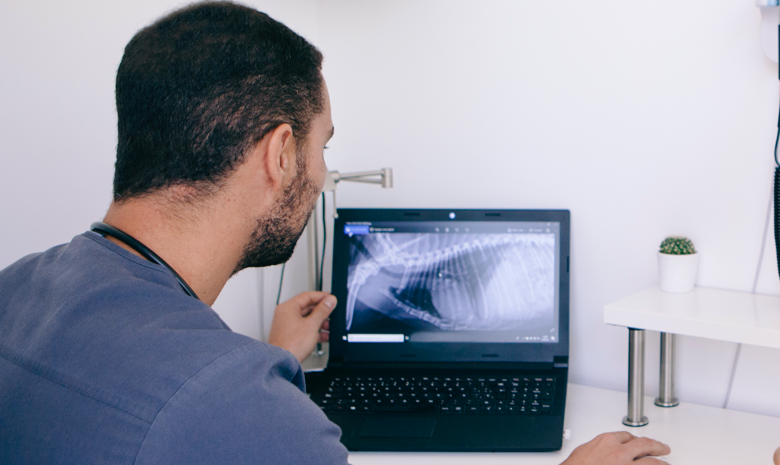 New Graduate Radiology