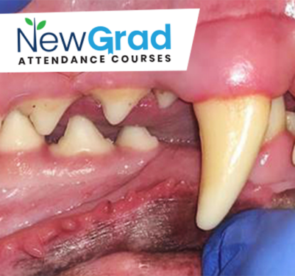 New Graduate - Dentistry Basics