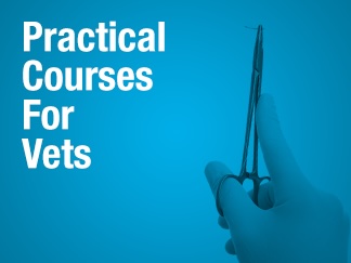 Practical Attendance Courses For Vets
