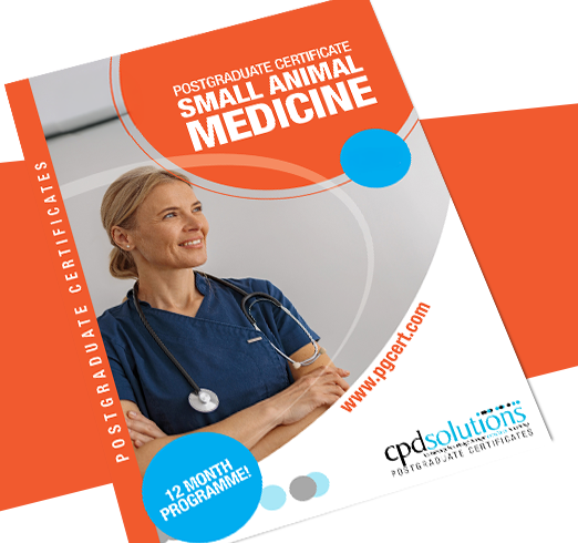 PgCert Small Animal Medicine