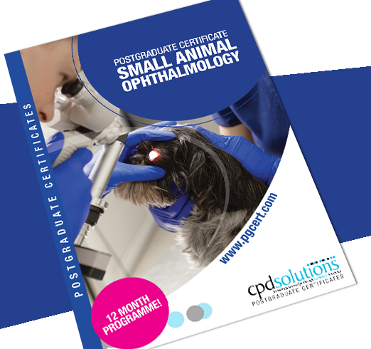 PgCert Ophthalmology