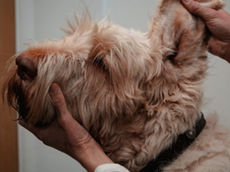 Practical Dermatology for Nurses