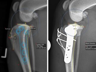 Advanced TPLO
