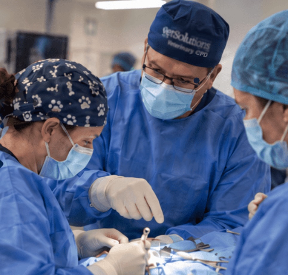 Advanced Clinical Programme in Surgical Oncology
